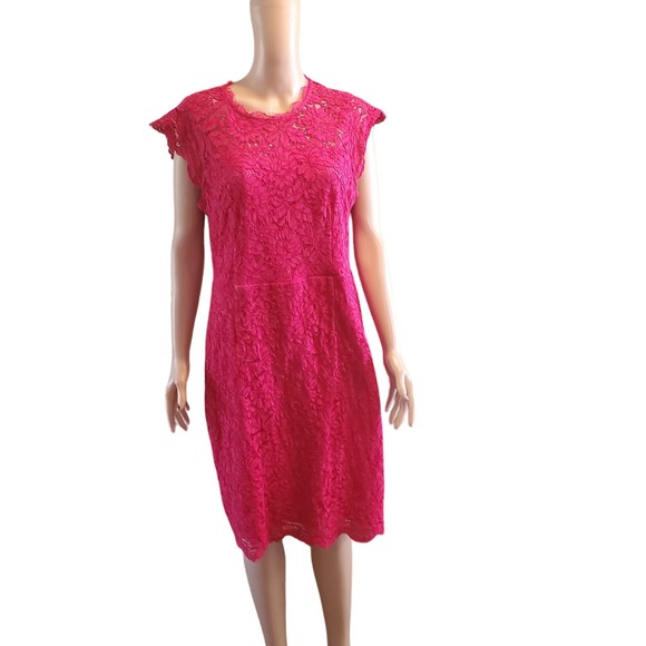 Miusol Size L Raspberry Pink Lace Zip up Sheath Dress TINY FLAW (marked 1X) - Picture 1 of 13